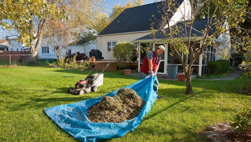 Leaf-Removal-Services-Warrens-Lawn-Maintenance