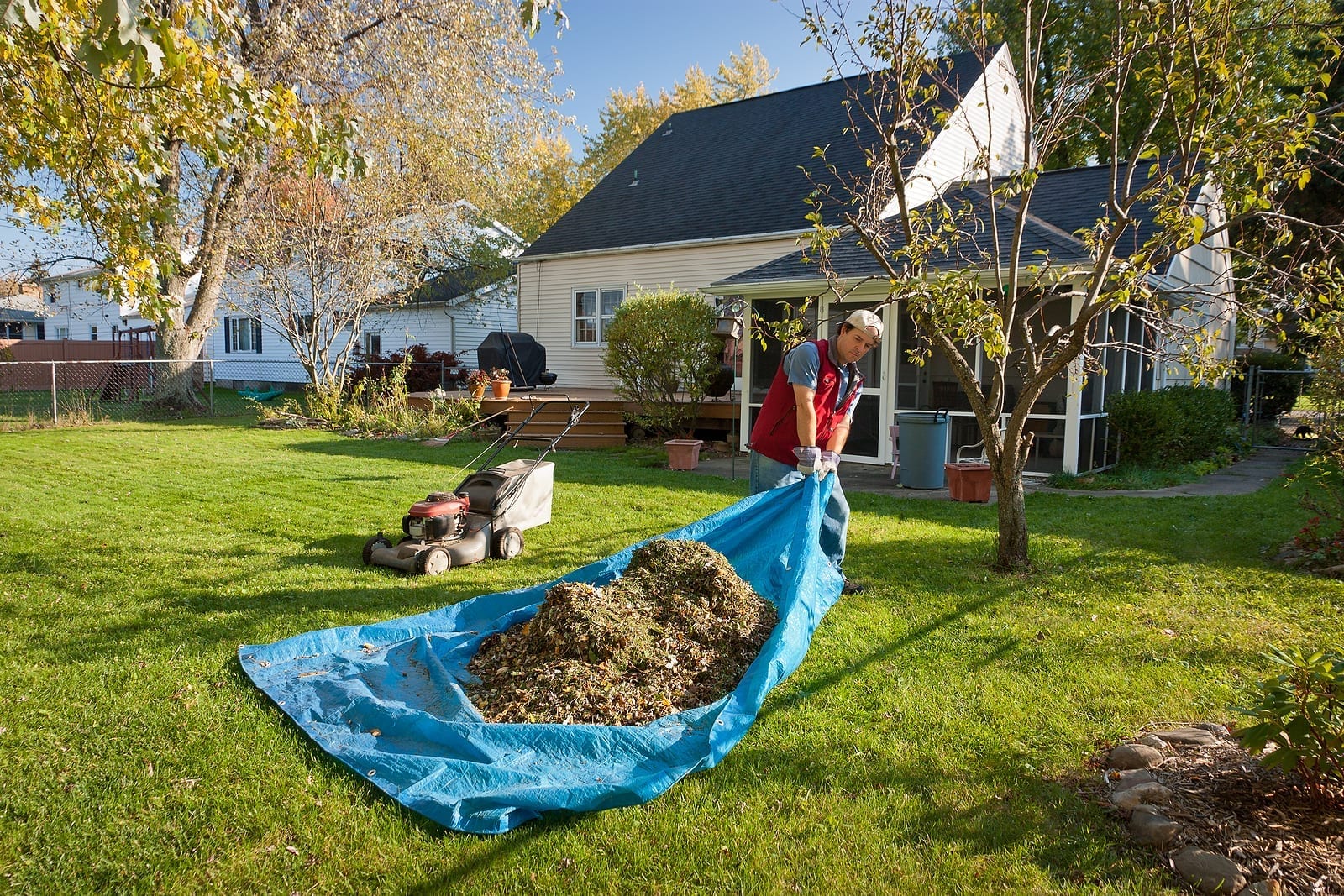 Leaf-Removal-Services-Warrens-Lawn-Maintenance