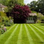 Lawn mowing stripes pattern lawn care by Warren's Lawn Maintenance service in Monroe