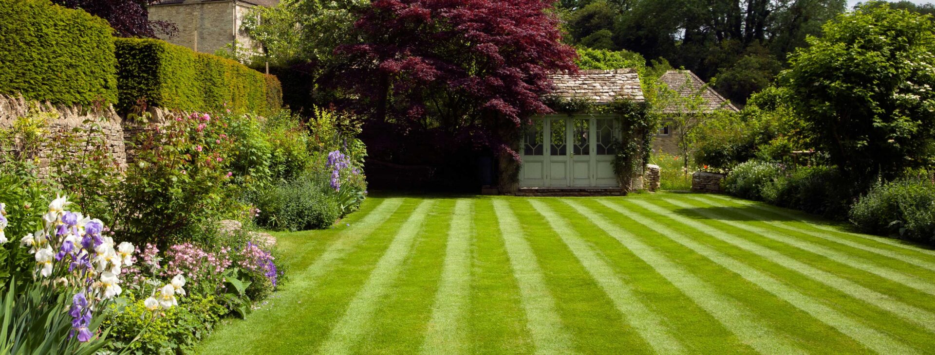 Lawn mowing stripes pattern lawn care by Warren's Lawn Maintenance service in Monroe