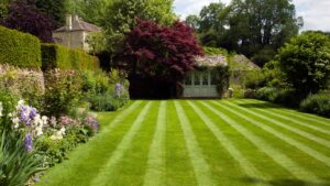 Lawn mowing stripes pattern lawn care by Warren's Lawn Maintenance service in Monroe