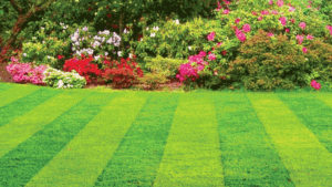 Grass-cutting-lawn-care-Warrens-Lawn-Maintenance-Monroe-and-Brownstown-Michigan