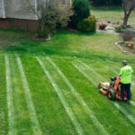 Grass-cutting-pattern-Warrens-Lawn-Maintenance