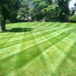 Warrens Lawn Grass Cutting Service - Woodhaven MI