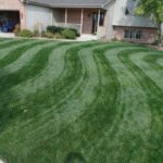 S-curve-wave-pattern-grass-cutting