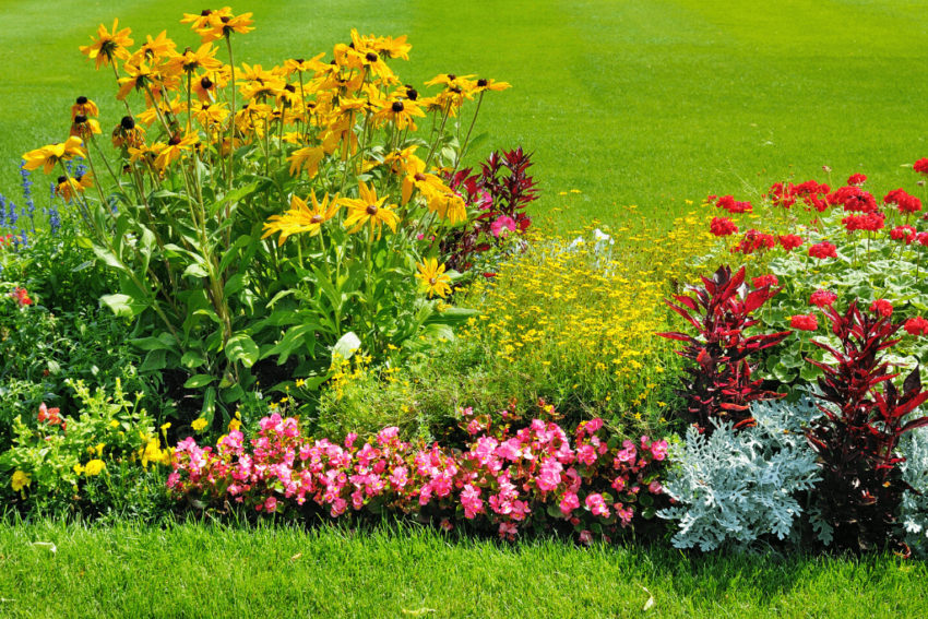 Warrens-Lawn-Maintenance-flowerbed-landscape