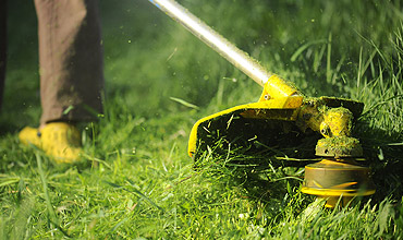 Warren's Lawn Maintenance - Mowing and Edging