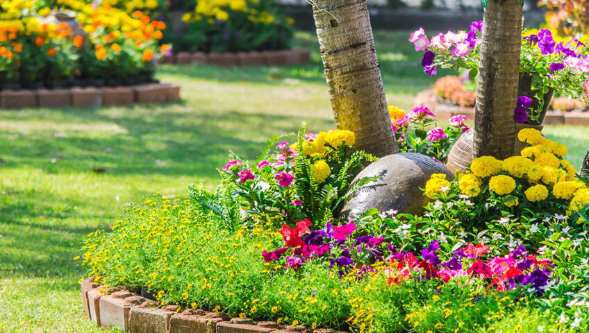 landscape-and-flower-bed-services